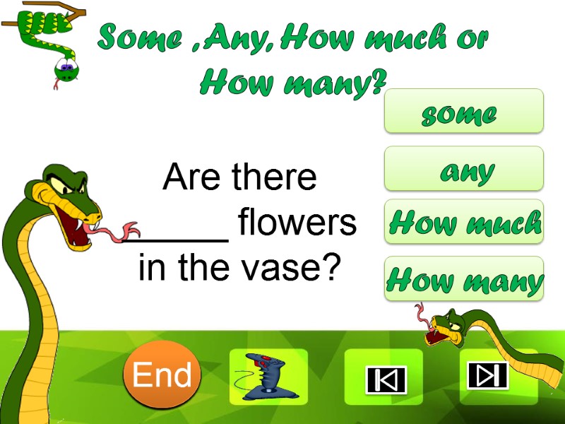 Are there _____ flowers in the vase? some any How much How many Some